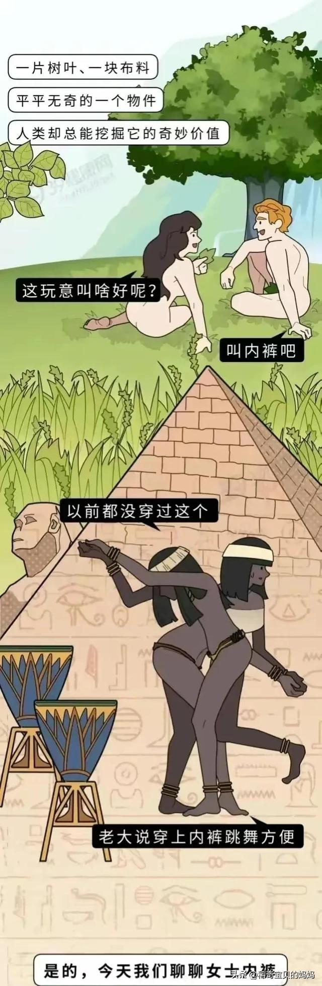 带你了解一下女式内裤的发展史！（漫画）