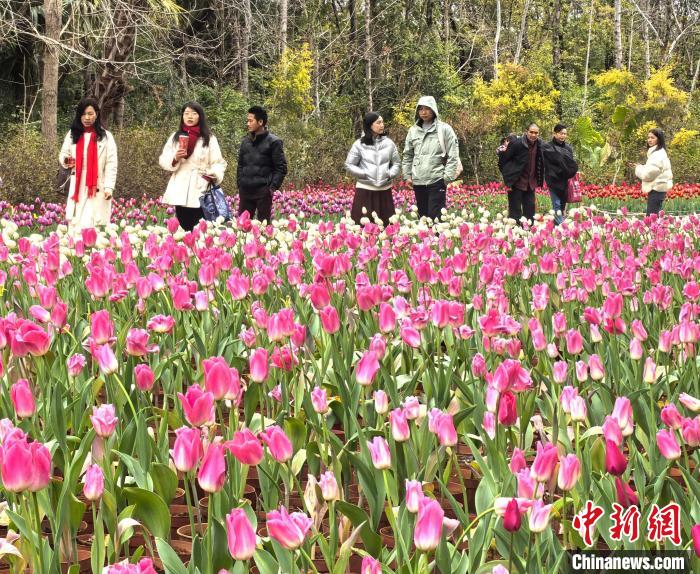 桂林春节假期山水魅力不减 文旅市场持续火爆