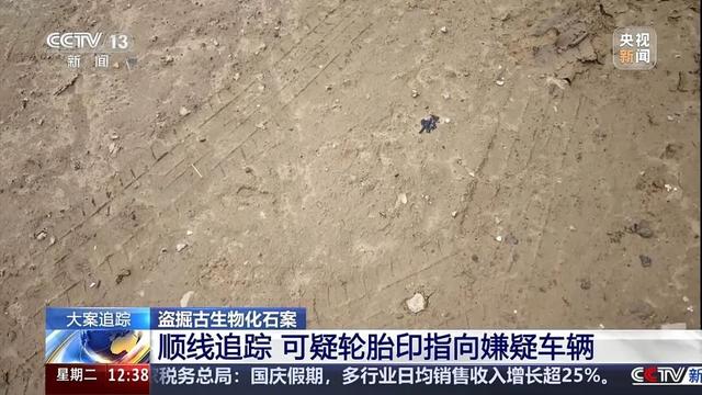 盗掘3.5吨“龙骨”化石，四人犯罪团伙陕西落网！