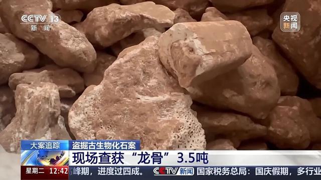 盗掘3.5吨“龙骨”化石，四人犯罪团伙陕西落网！