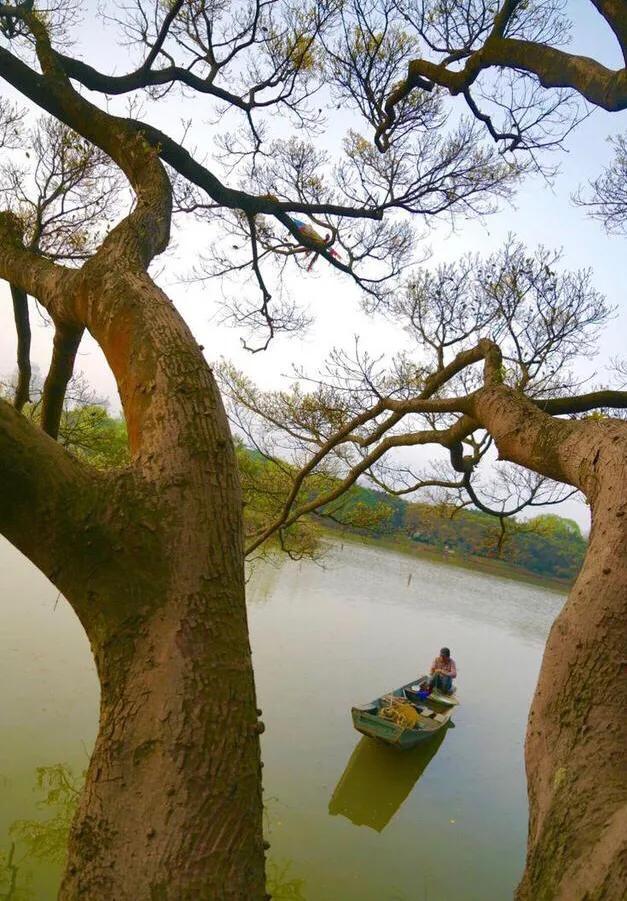 温州有什么好玩的地方？温州旅游十大必去景点排行榜