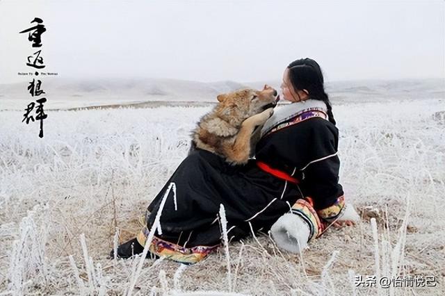 “引狼入室”---漂亮女画家与一只野狼的情深缘浅