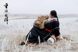 狼抱美女图像(“引狼入室”---漂亮女画家与一只野狼的情深缘浅)